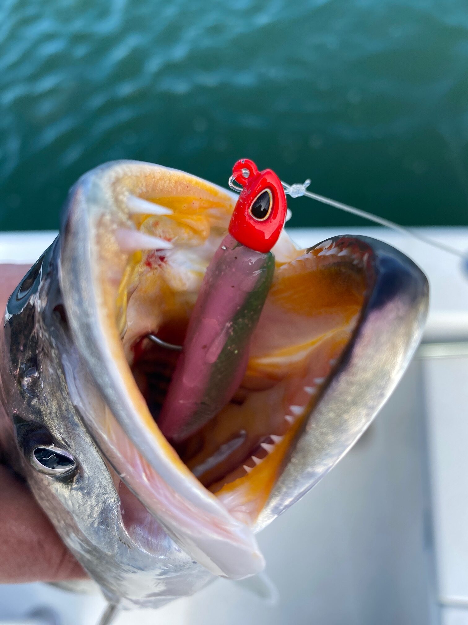 Fish in OC Bucktail Jig - 2 Oz - Red - Fishing Reports & News Ocean City MD  Tournaments