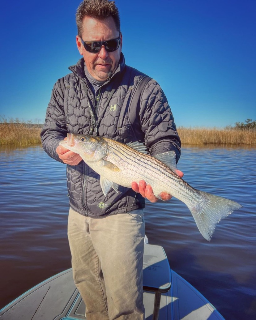 Sand Fleas for Striper Bait - On The Water