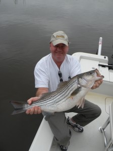 Cape Fear River Striper