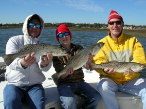 Nice Speckled Trout